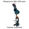 Микроскоп Levenhuk LabZZ M3 - Микроскоп Levenhuk LabZZ M3