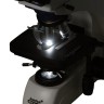 Микроскоп Levenhuk MED 35B, бинокулярный - Микроскоп Levenhuk MED 35B, бинокулярный